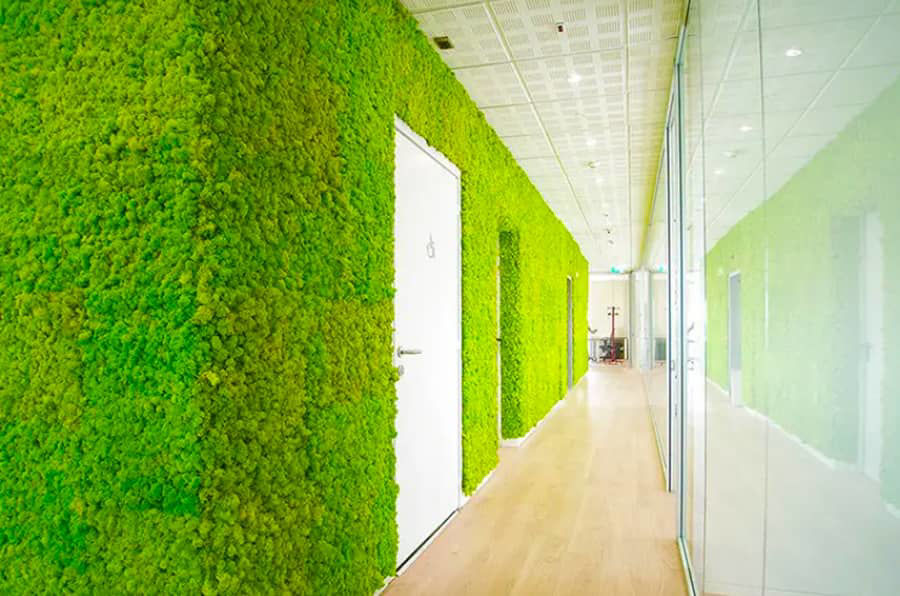 Picture for category Vertical garden